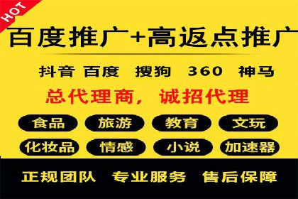 百度推广的成功案例：从零到一的突破